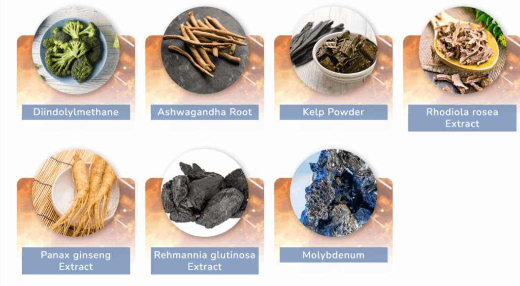 Mitocode Ingredients